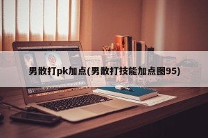 男散打pk加点(男散打技能加点图95)