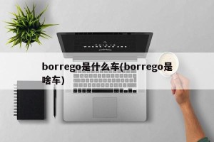 borrego是什么车(borrego是啥车)