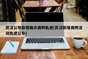 武汉公布新增确诊病例轨迹(武汉新增病例活动轨迹公布)
