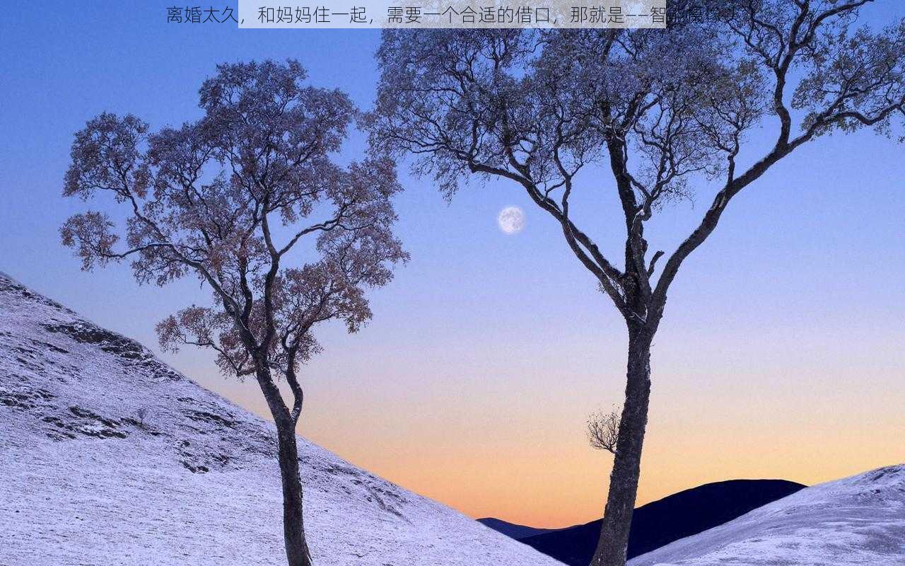 离婚太久，和妈妈住一起，需要一个合适的借口，那就是——智能摄像头