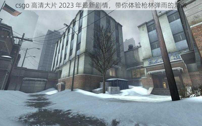 csgo 高清大片 2023 年最新剧情，带你体验枪林弹雨的刺激